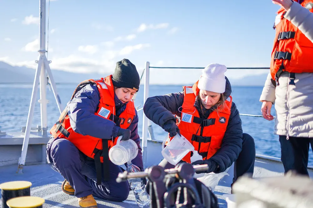 canal beagle contaminación