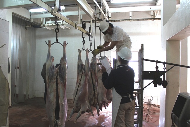 Matadero 650x480