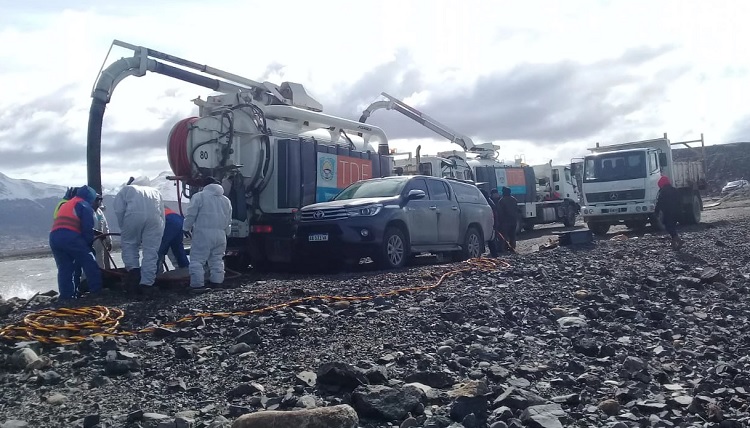 planta bahia golondrina