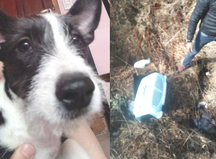 43339408_1822772154443409_1792882326179414016_n