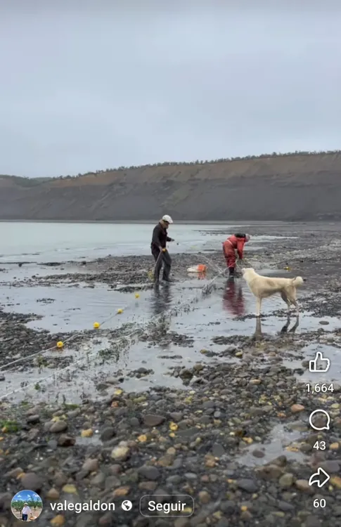 WhatsApp Image 2025-11-23 at 19.30.15