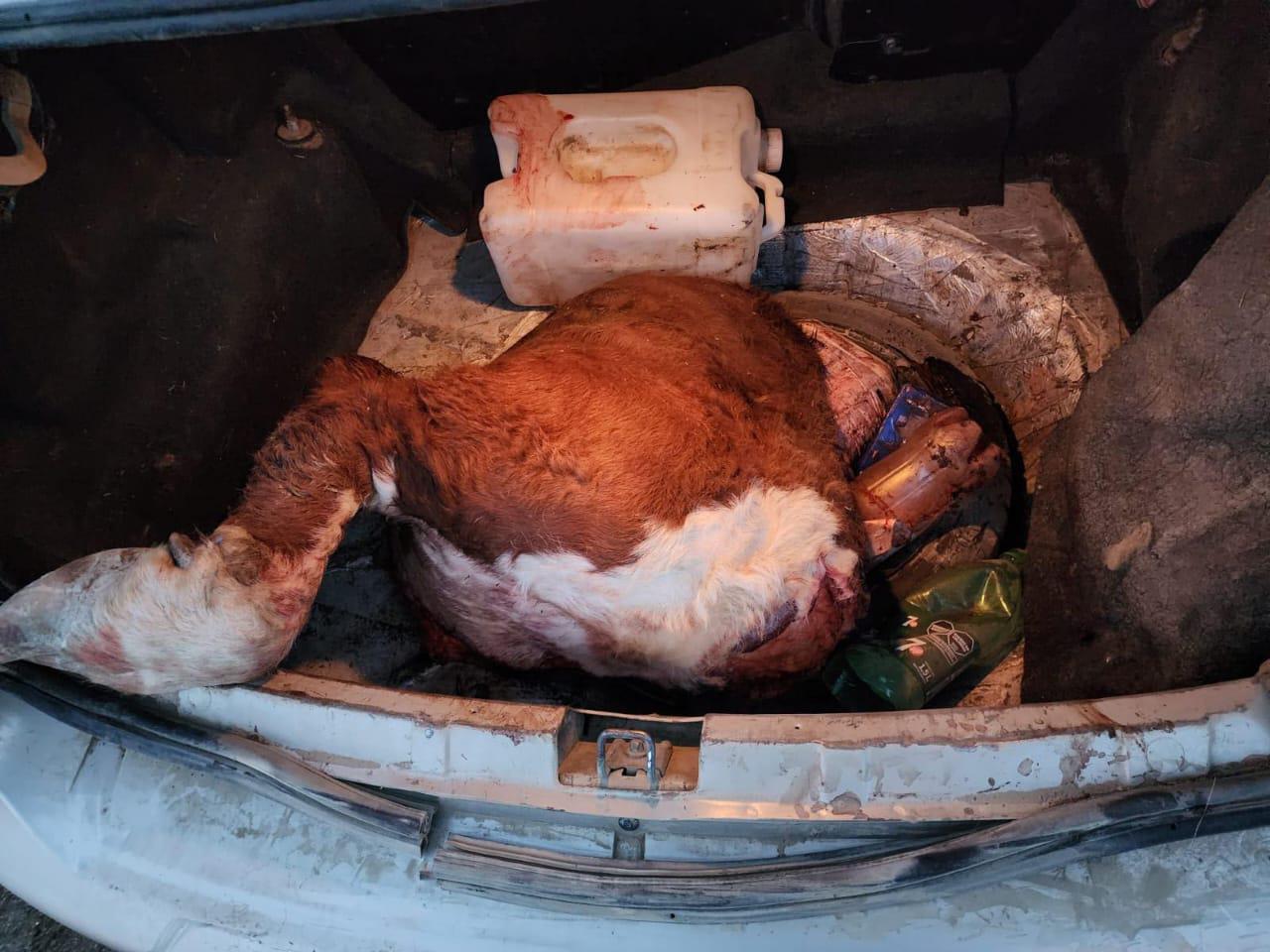 WhatsApp Image 2023-12-19 at 12.50.35 (1)