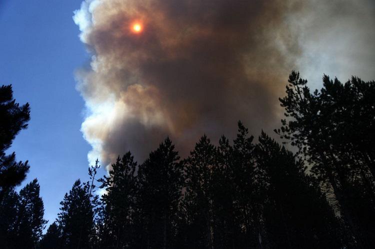 Incendios zonas de Aluminé y Bariloche (17)