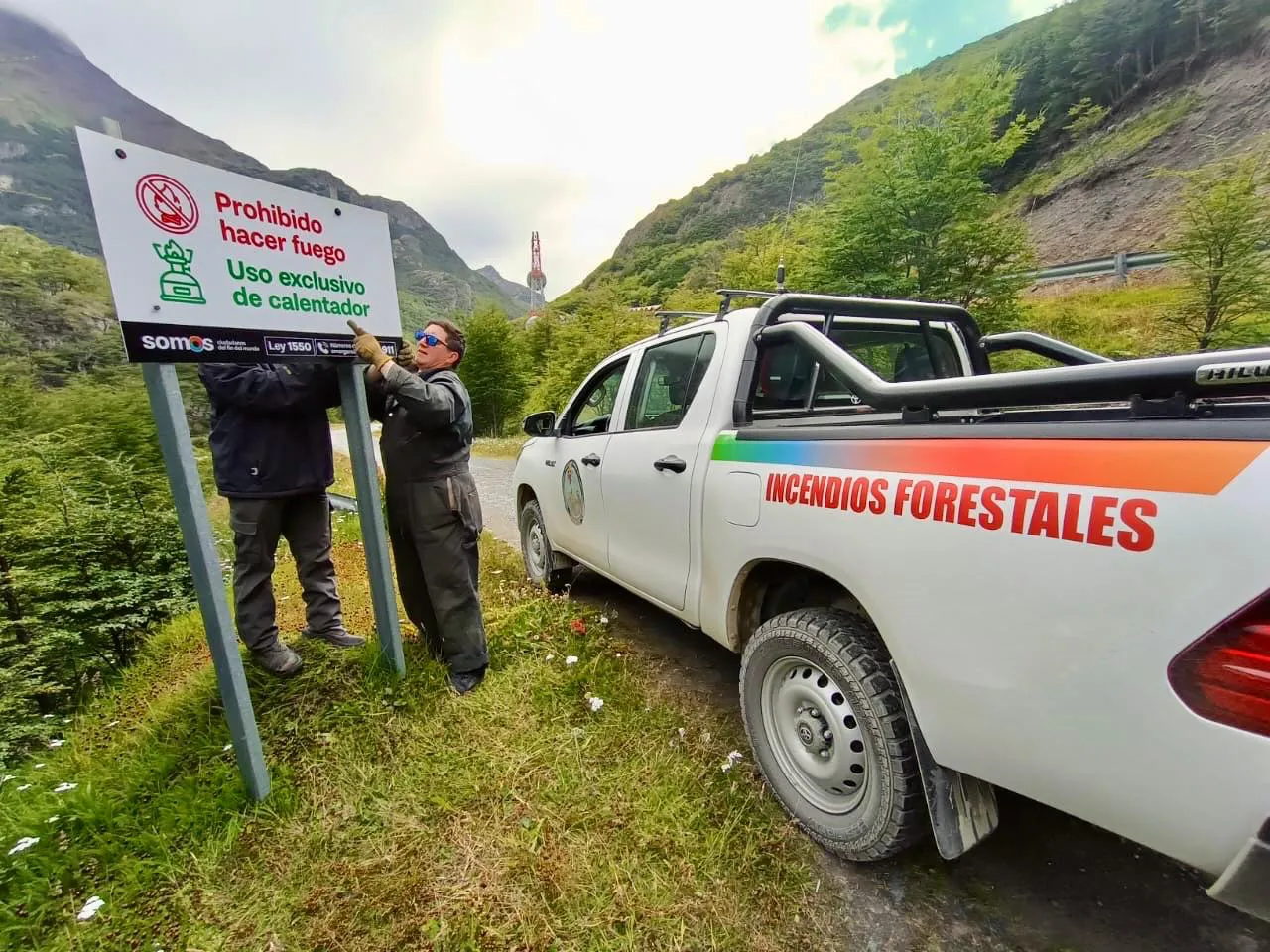 forestales
