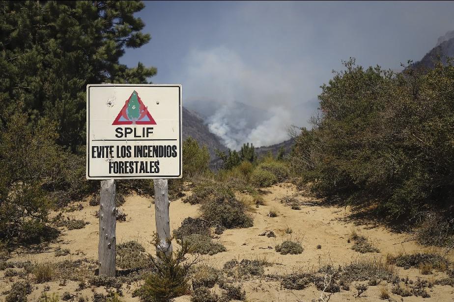 incendio forestal