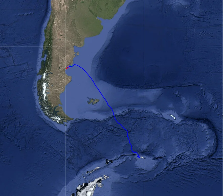 Recorrido de la ballena