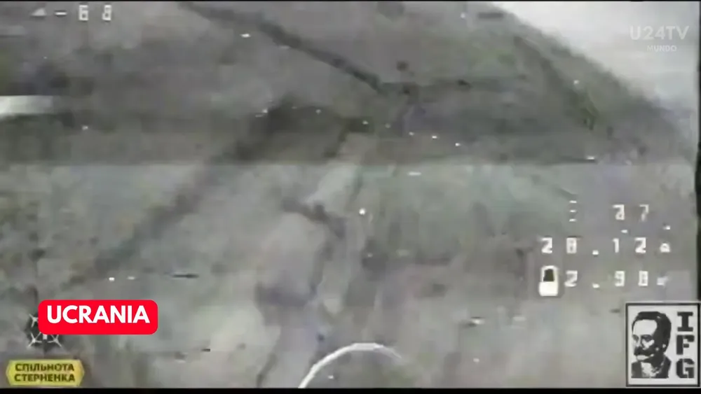 (Español) (Español)