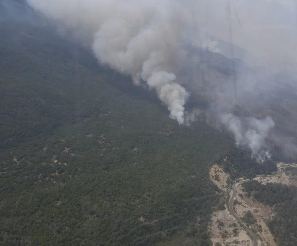 Parque Nacional Los Alerces incendio forestal5