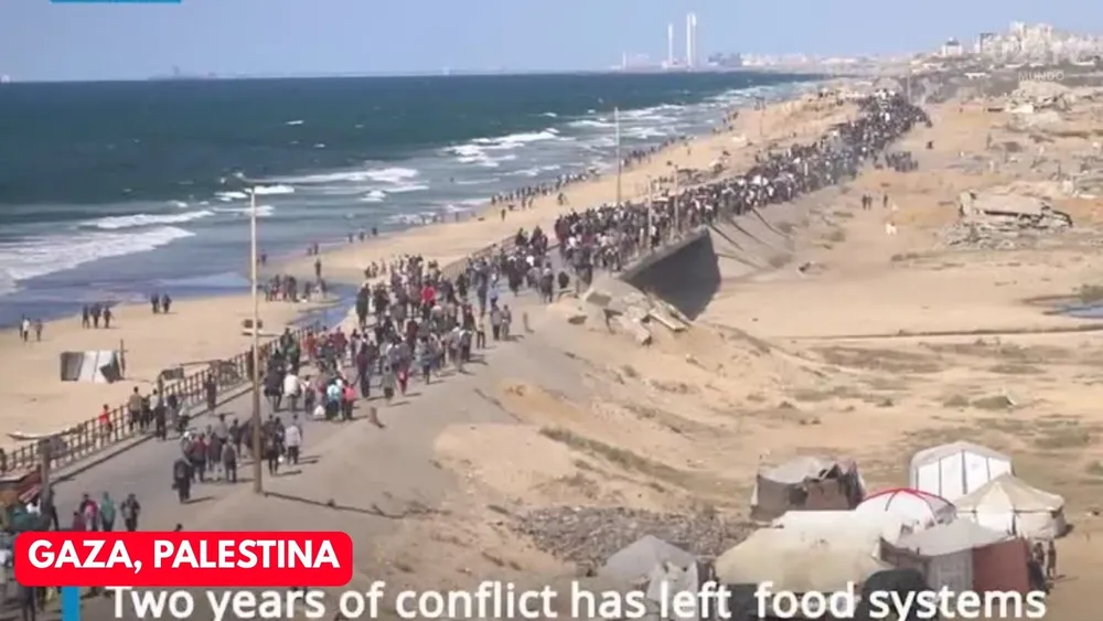 gaza tv